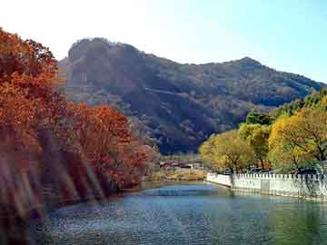 澳门天天彩期期精准平肖，莱芜市区地图